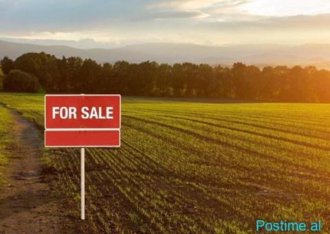 SHITET TOKE 11.000 M2 NE PEZE 450.000 EURO
