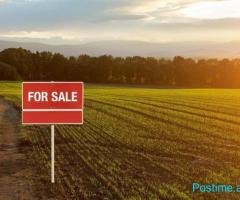 SHITET TOKE 11.000 M2 NE PEZE 450.000 EURO