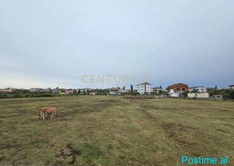 0693456519 Tokë për Shitje 6110 m2 në Shënavlash, Afer Rreth - 1/5