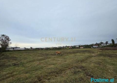 0693456519 Tokë për Shitje 6110 m2 në Shënavlash, Afer Rreth - 4/5