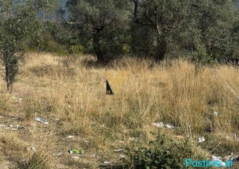 SHITET TOKE 1.400 M2 NE BERZHITE 185.000 EURO