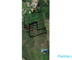 Shitet toke ne Xhafzotaj, Shijak | 4580 m2