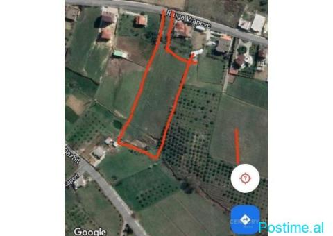 Tokë për Shitje në Farkë, Tiranë - 130EUR m2 - 2/2