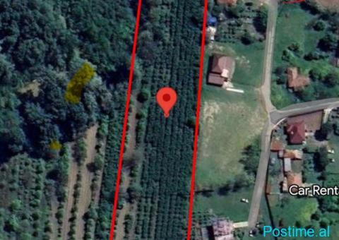 SHITET TOKE 6300M2 RINAS