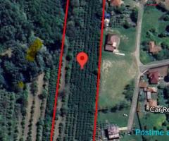 SHITET TOKE 6300M2 RINAS