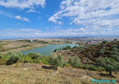 +355682429333 Shitet Super Tokë – Spitallë, Durrës - 5/10