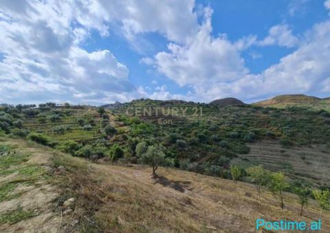 +355682429333 Shitet Super Tokë – Spitallë, Durrës - 6/10