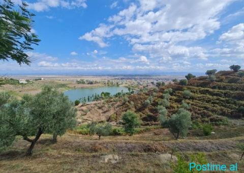 +355682429333 Shitet Super Tokë – Spitallë, Durrës - 7/10