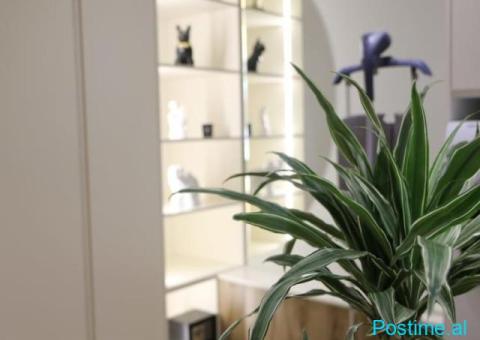 🏡 SHITEN 2 GARSONIERE – 21 DHJETORI - 6/6