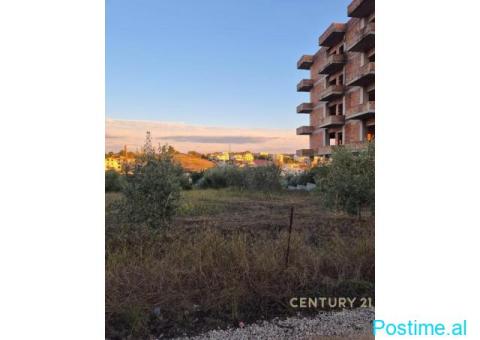 0693456519 SHITET TOKE NE SHKALLNUR AFER VILES PASKUCI - 4/4