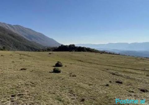 🌿 SHITET TOKË 3,700 m² | SURREL, TIRANË 🏡 📍 Vendndodhja: