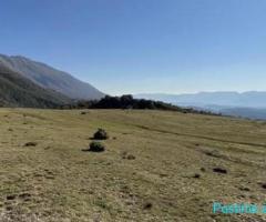 🌿 SHITET TOKË 3,700 m² | SURREL, TIRANË 🏡 📍 Vendndodhja:
