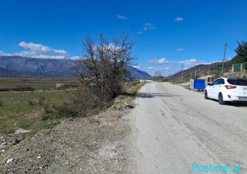 SHITET TOKE BUQESORE VALARE GJIROKASTER - 4/4