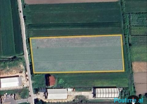 SHITET TRUALL 11000 M2 RINAS 440.000 EURO