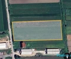 SHITET TRUALL 11000 M2 RINAS 440.000 EURO
