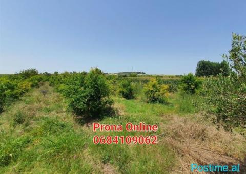 SHITET tokë 4.190 m2 në Manzë Durrës - 3/4