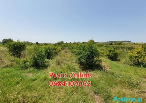 SHITET tokë 4.190 m2 në Manzë Durrës - 4/4
