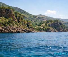 🌿SHITET TOKË NË QEPARO – MUNDËSI INVESTIMI📍