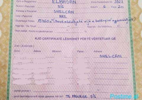 Toke ne Elbasan