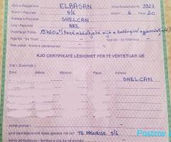 Toke ne Elbasan