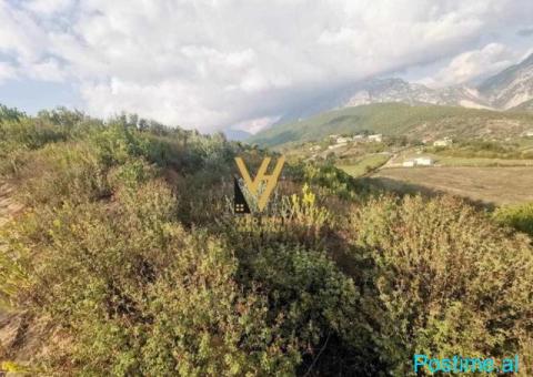 SHITET TOKE 7.500 M2 NE ZALLHER 450.000 EURO