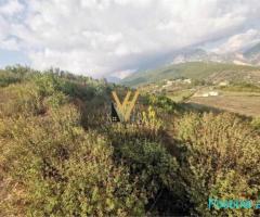 SHITET TOKE 7.500 M2 NE ZALLHER 450.000 EURO