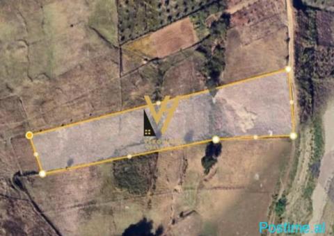 SHITET TOKE 6.000 M2 NE FARKE, TIRANE - 2/2