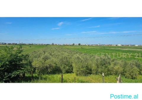 +355682429333 Shitet Tokë – Agonas / Kavajë - 2/3