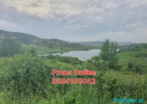 SHITET 2.400 m2 tokë pranë Liqenit të Kasharit - 1/7