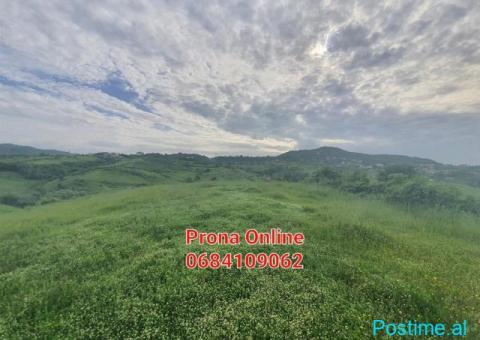 SHITET 2.400 m2 tokë pranë Liqenit të Kasharit - 2/7