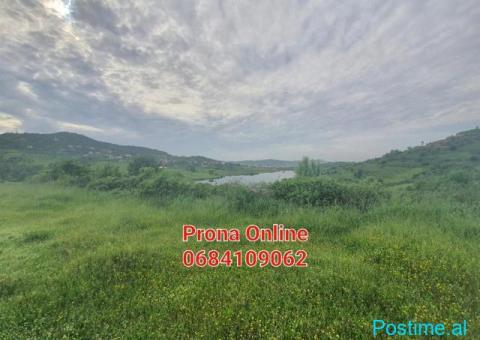 SHITET 2.400 m2 tokë pranë Liqenit të Kasharit - 3/7