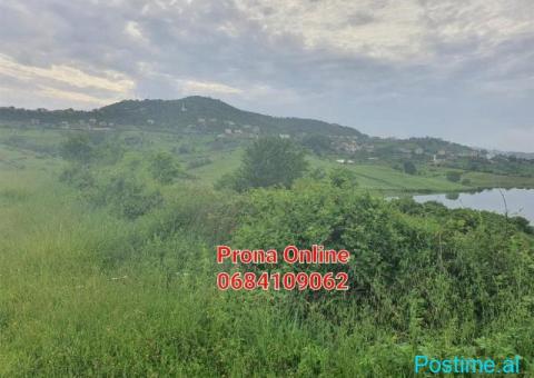 SHITET 2.400 m2 tokë pranë Liqenit të Kasharit - 5/7