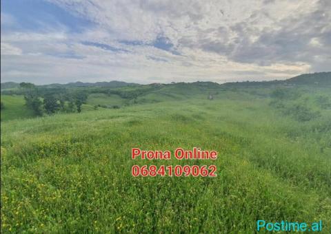 SHITET 2.400 m2 tokë pranë Liqenit të Kasharit - 6/7