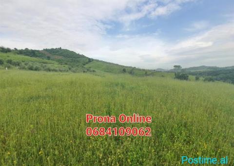 SHITET 2.400 m2 tokë pranë Liqenit të Kasharit - 7/7