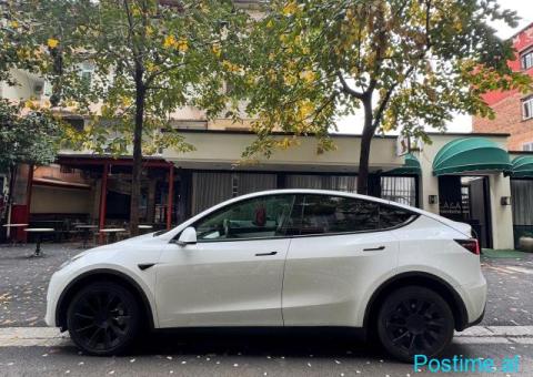 Shitet Tesla Y 2023 Longrange Dual Motor - 6/6