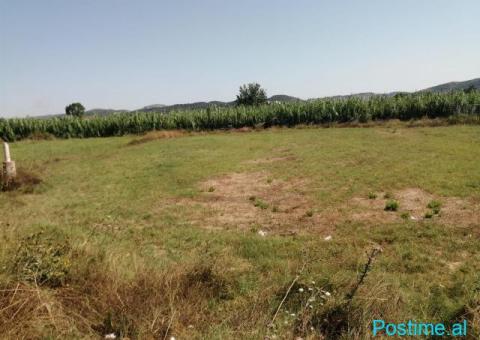 SHITET TOKE 2000m2 ME CERTIFIKATE NE AUTOSTRADEN LUSHNJE - 3/4