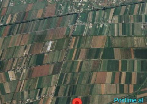 Okazion shitet prona 42000m2 Adresa Hamallaj