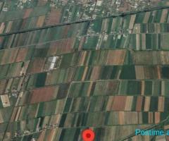 Okazion shitet prona 42000m2 Adresa Hamallaj