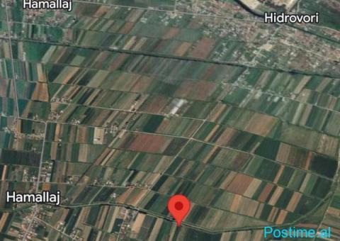 Okazion shitet prona 42000m2 Adresa Hamallaj - 2/2