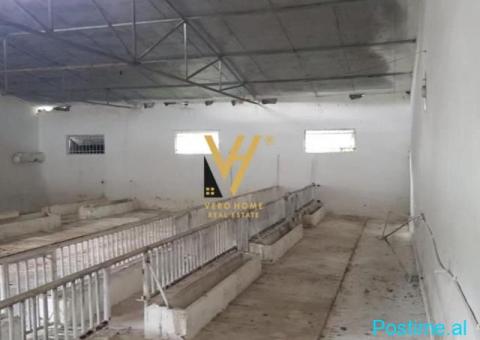 JEPET AMBIENT BIZNESI 1.400 M2 ME QERA NE BALDUSHK 1.300 EUR - 2/3