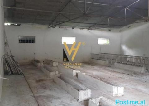 JEPET AMBIENT BIZNESI 1.400 M2 ME QERA NE BALDUSHK 1.300 EUR - 3/3