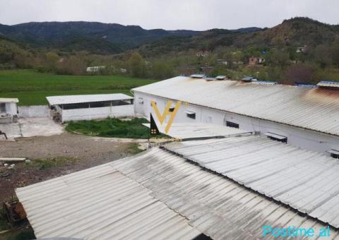 SHITET AMBIENT BIZNESI 1.400 M2 NE BALDUSHK 350.000 EURO - 1/3
