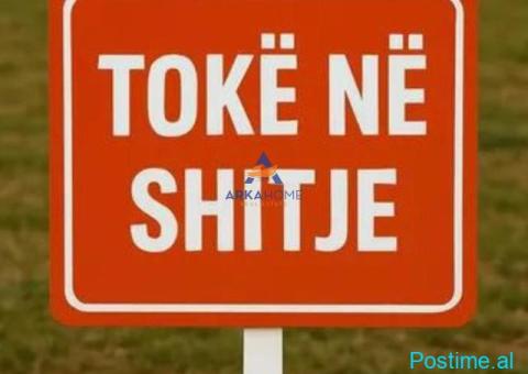 SHITET TOKE 10000M2 'NE VORE' 1.000.000 EURO