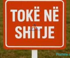 SHITET TOKE 10000M2 'NE VORE' 1.000.000 EURO