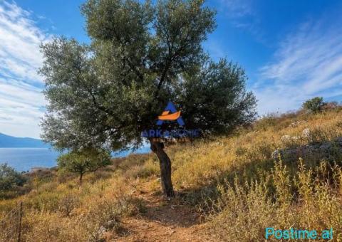 SHITET TOKE 460 M2 'NE QEPARO' 10.200.000 LEKE - 1/3