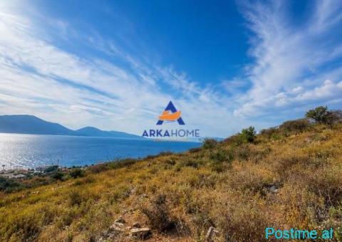 SHITET TOKE 460 M2 'NE QEPARO' 10.200.000 LEKE - 2/3