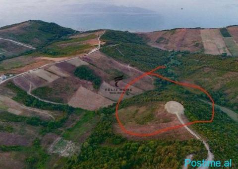 SHITET TRUALL NDERTIMI 13.500 M2 KEPI I RODONIT 580.000 EURO - 5/8