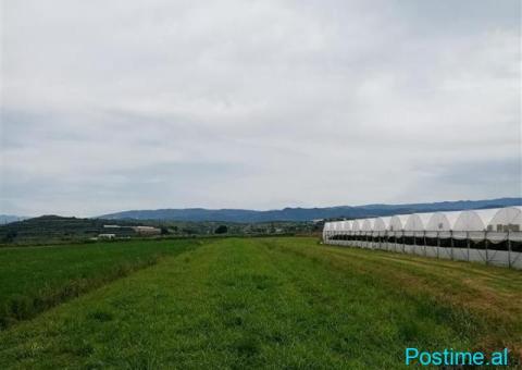 SHITET TOKA KUCOVE (KOZARE) - 3700 m2