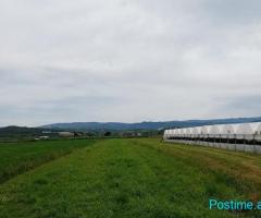 SHITET TOKA KUCOVE (KOZARE) - 3700 m2