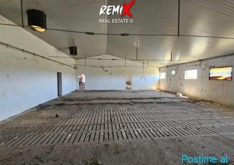 MAGAZINË PËR SHITJE – XHAFZOTAJ, DURRËS - 9/10